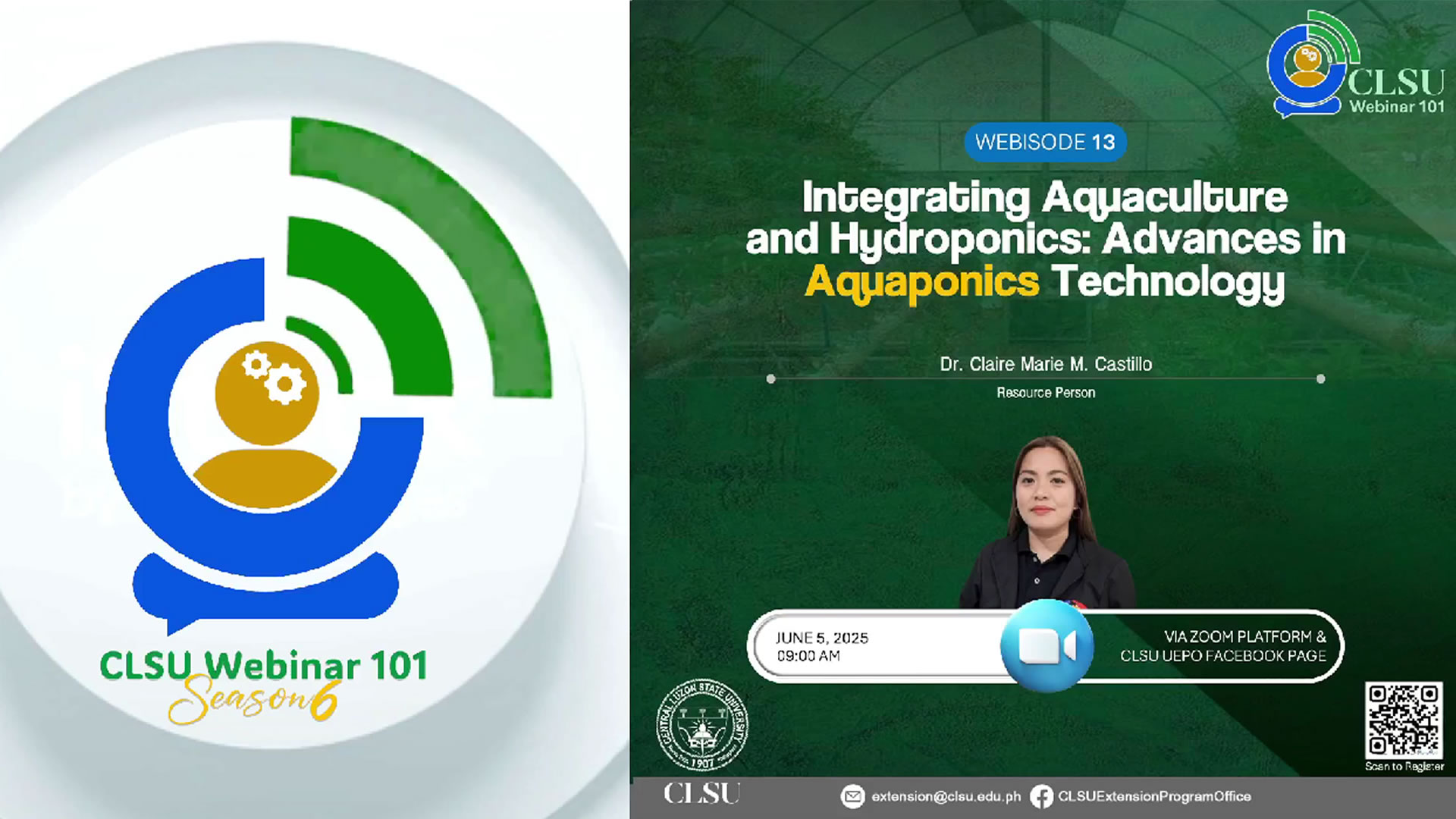 Webinar